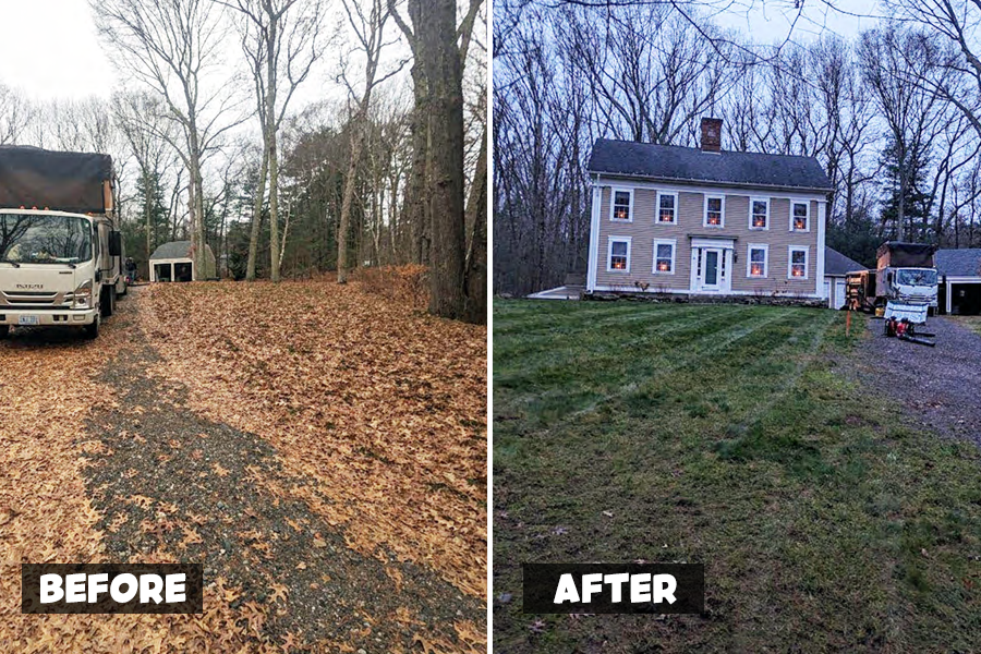 yard-cleanup-milton-ma-11