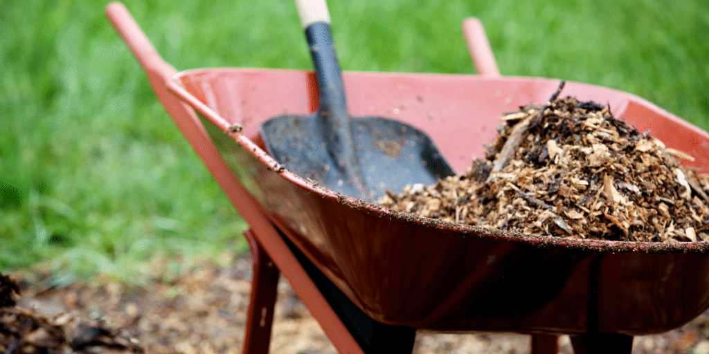 When to Refresh Mulch — Timing and Frequency