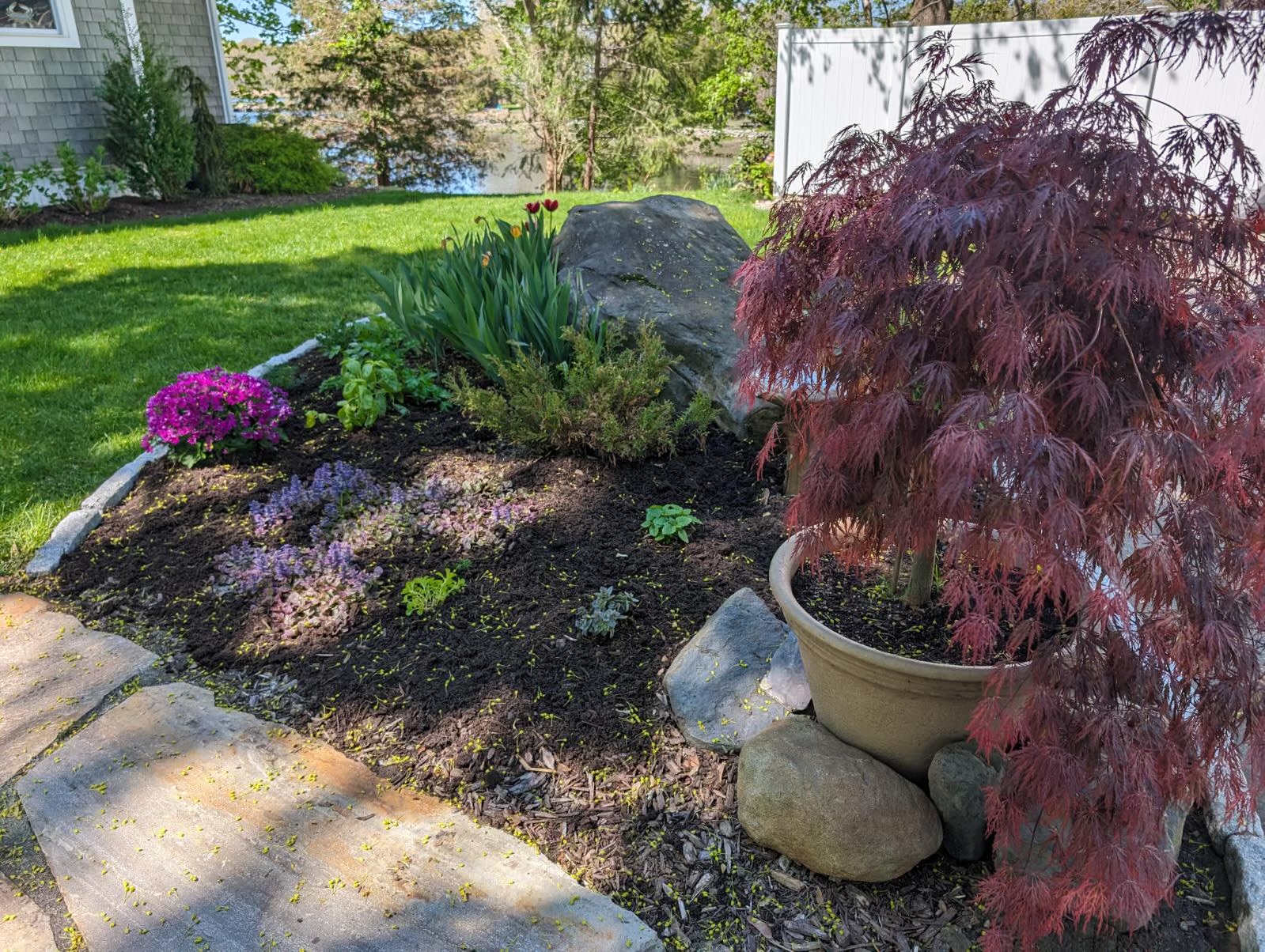 winter-loving plants that thrive in massachusetts