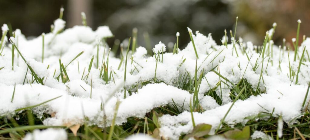 snow and ice removal