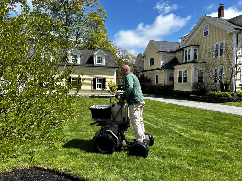 Boston area spring lawn prep