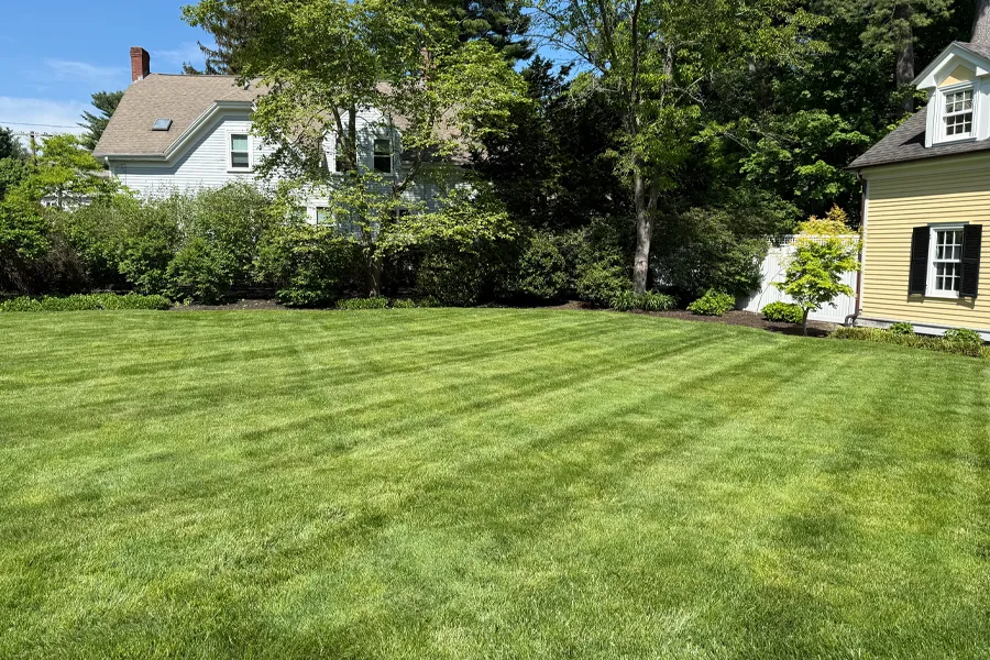 A vibrant green lawn features crisp, professional diagonal mowing stripes