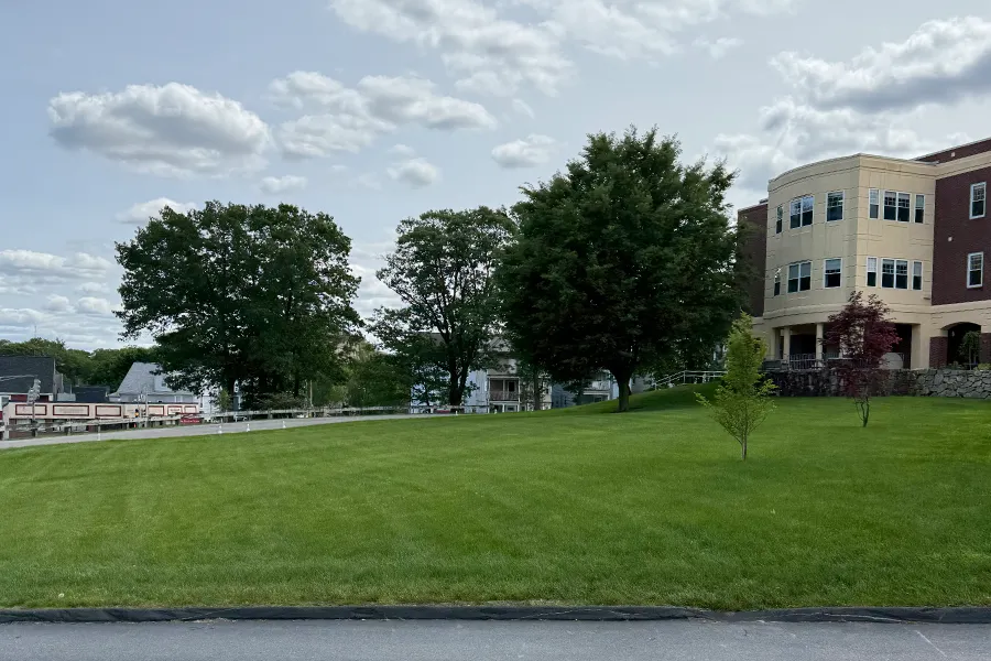 A wide, sloping green lawn