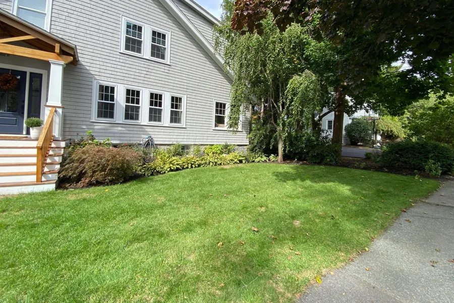 Green lawn by grey house