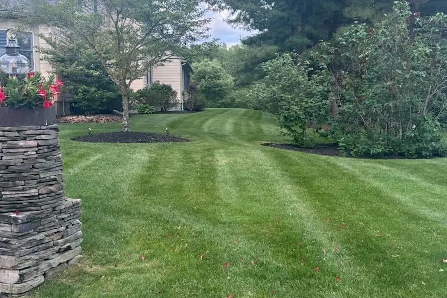 Lush green lawn with stripes