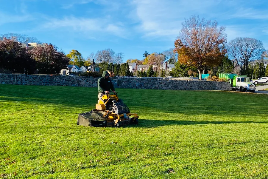 The grass shows clean, horizontal mowing stripes