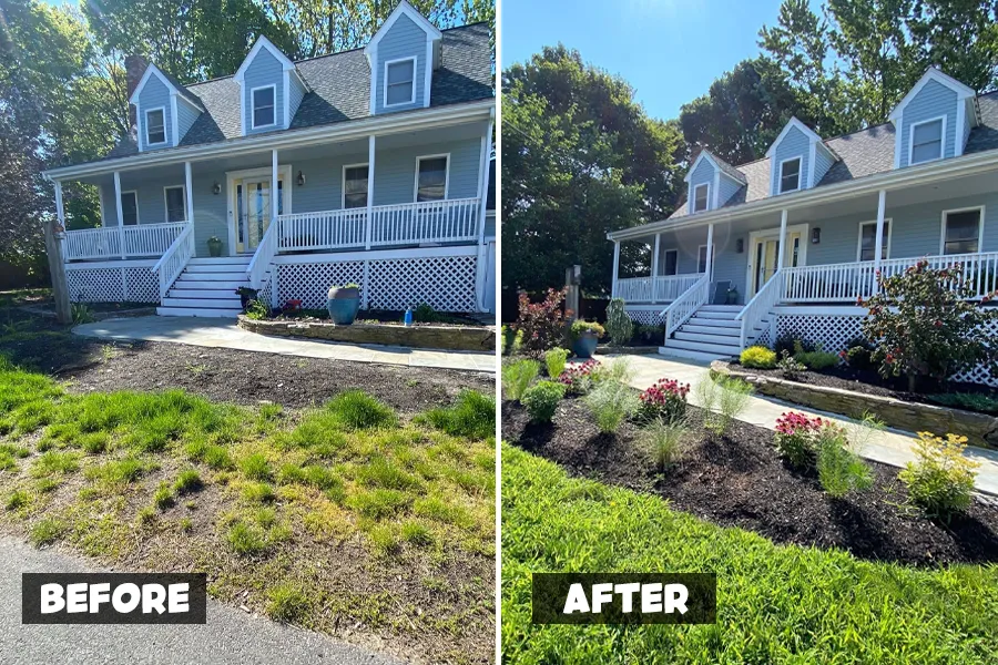 lawn fertilization in dorchester