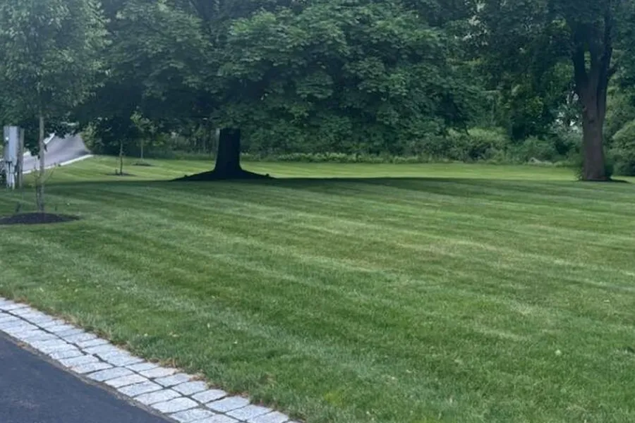 lawn-fertilization-milton-ma