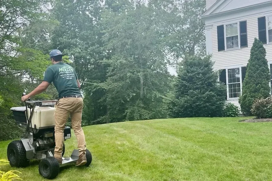 how professional lawn care saves you money