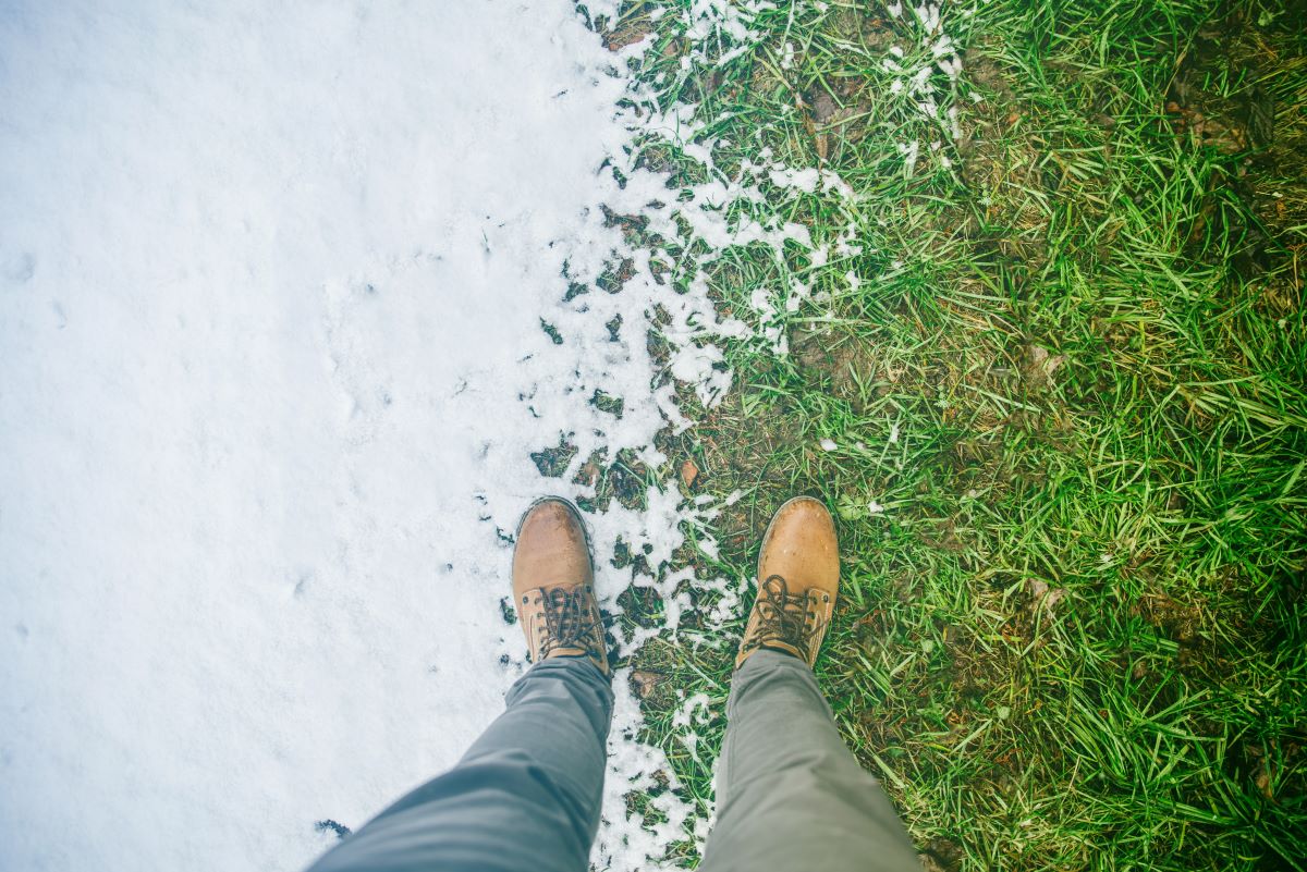 lawn needs after a winter storm