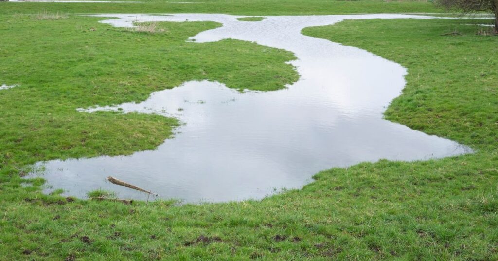 preparing your landscape for spring rains