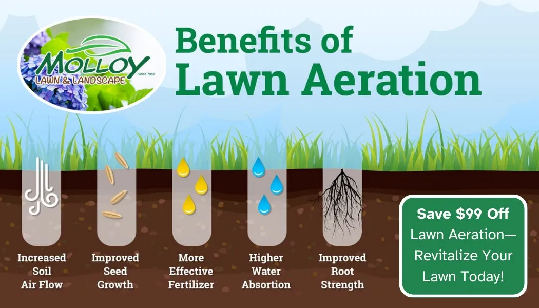 Illustrated graphic showing benefits of lawn aeration, including airflow, seed growth, fertilizer and water absorption, stronger roots, and a limited-time $99 savings offer.