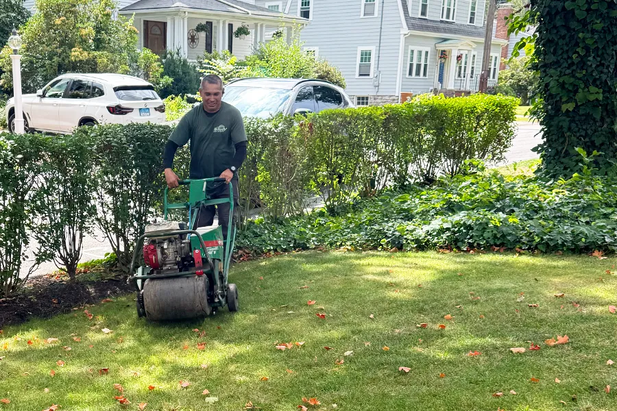 Lawn care professional operating a green walk-behind aerator on a residential front yard bordered by hedges, trees, and parked cars.