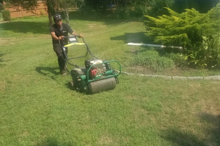 Lawn care worker using a green walk-behind aerator machine on a sunny residential lawn near shrubs and garden edging.