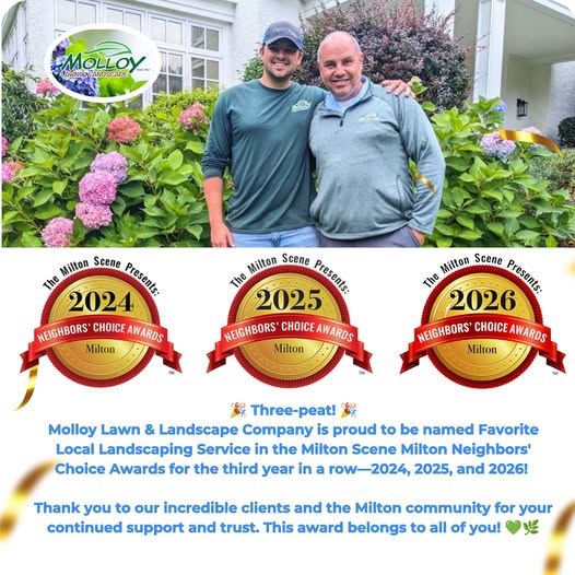 Best landscaper in milton ma