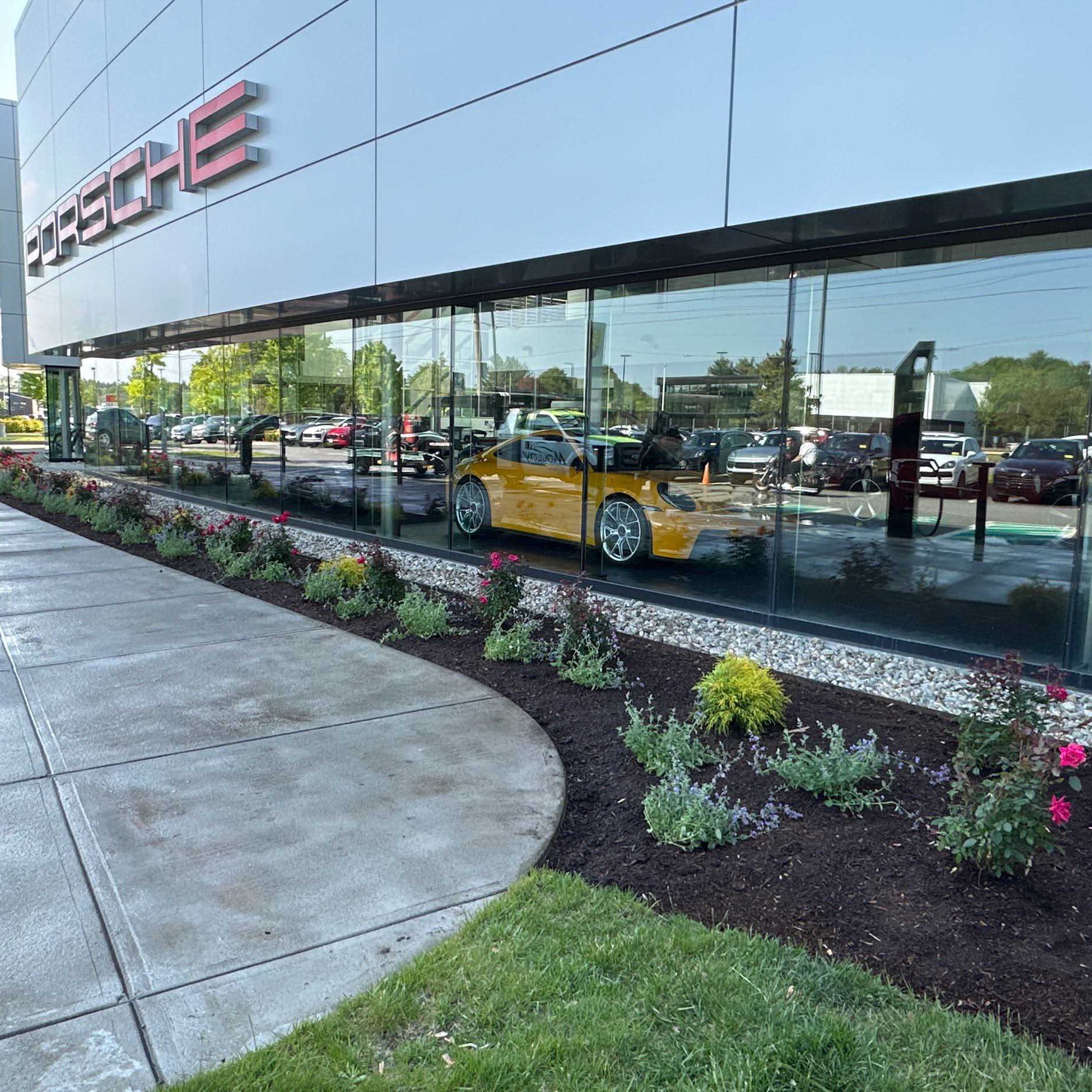 Porsche Planting 3 Porsche Planting 3